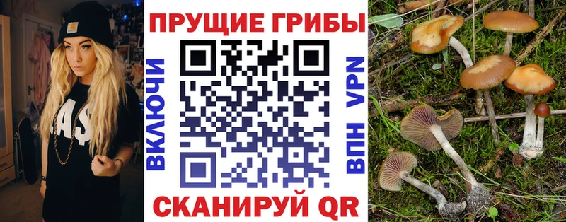 Галлюциногенные грибы мицелий  Георгиевск 